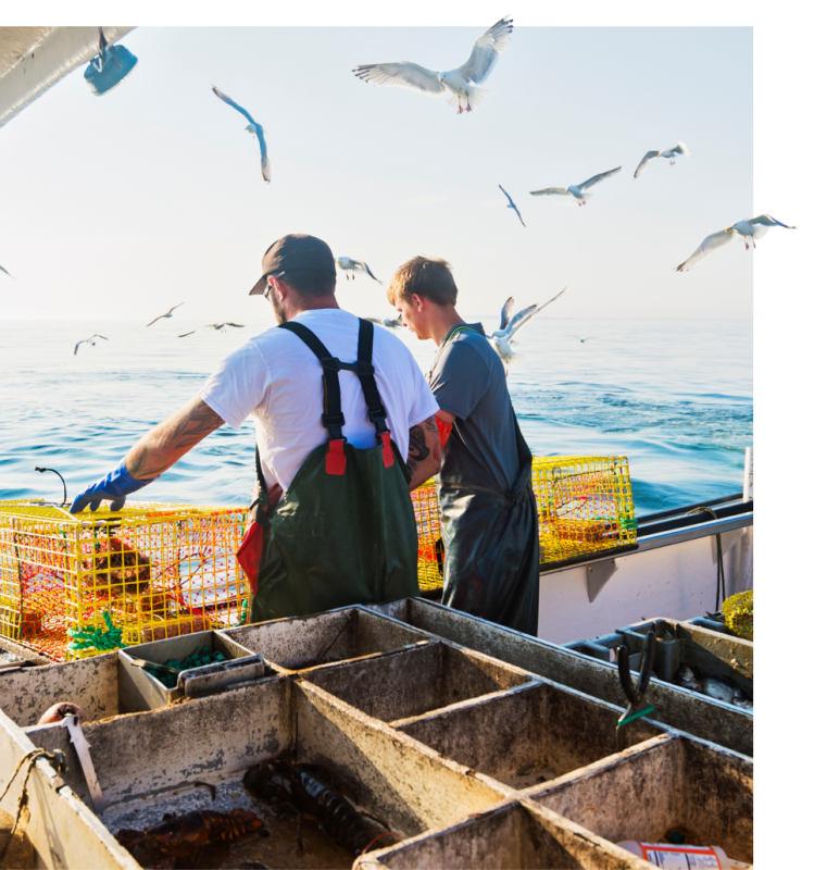 Le restaurant - Le Trident - restaurant CARRY-LE-ROUET - restaurant CARRY-LE-ROUET